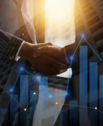 Business Incorporation and Compliance Services