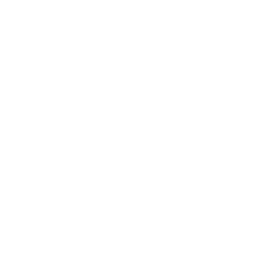 Finance & Performance Consulting