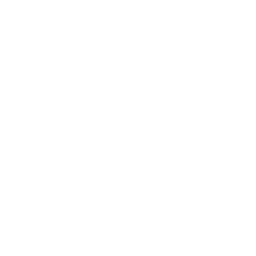 Operations Consulting