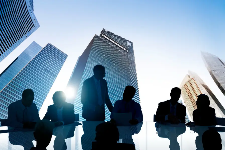 Public Limited Company