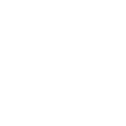 HR & Organization Consulting